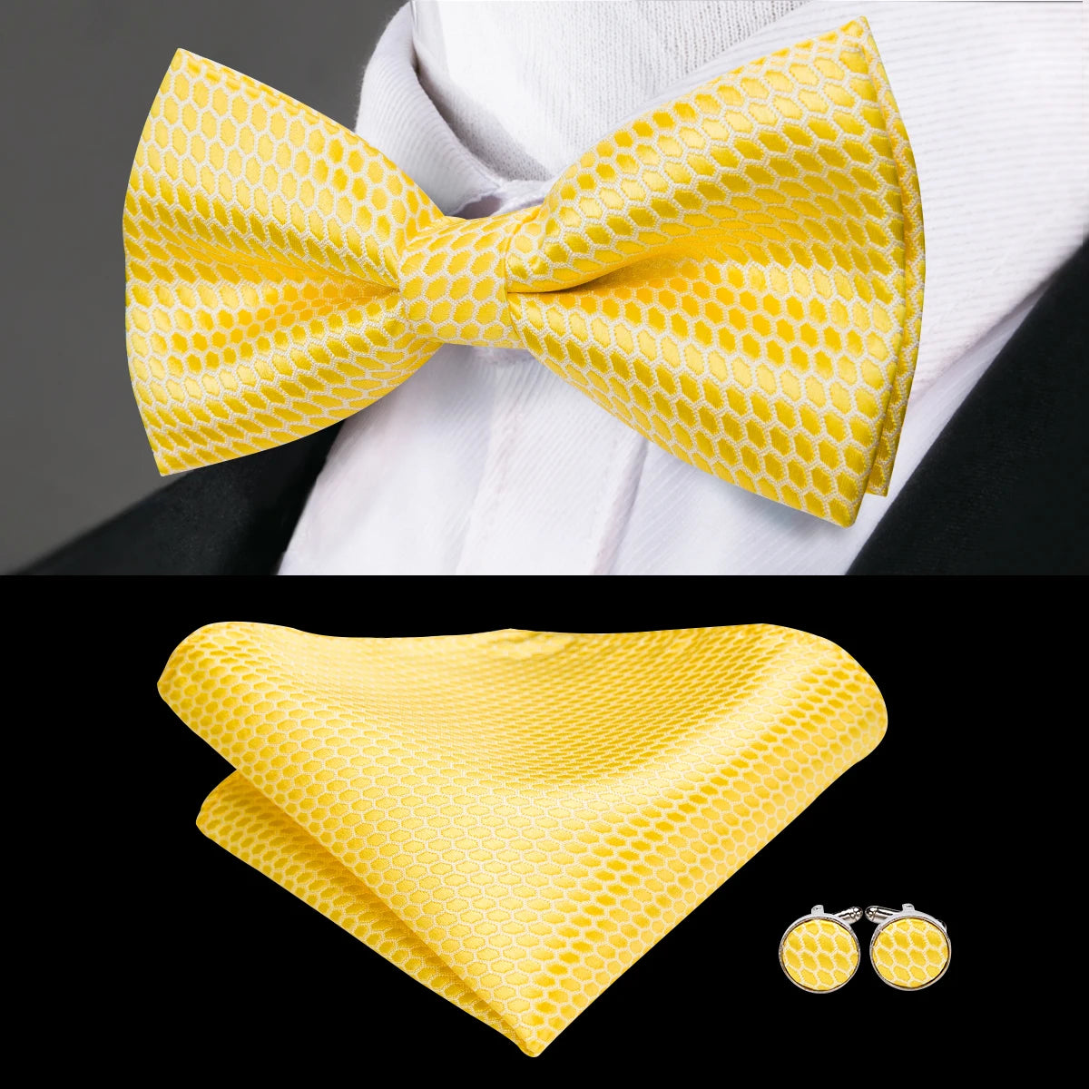 Hi-tie Classic Bow Ties Men Silk Butterfly Pre-tied Male Bowtie