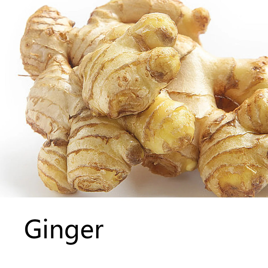Ginger Essential Oil Shampoo Bar Plant Extract Essence Deep Hair Care Qme