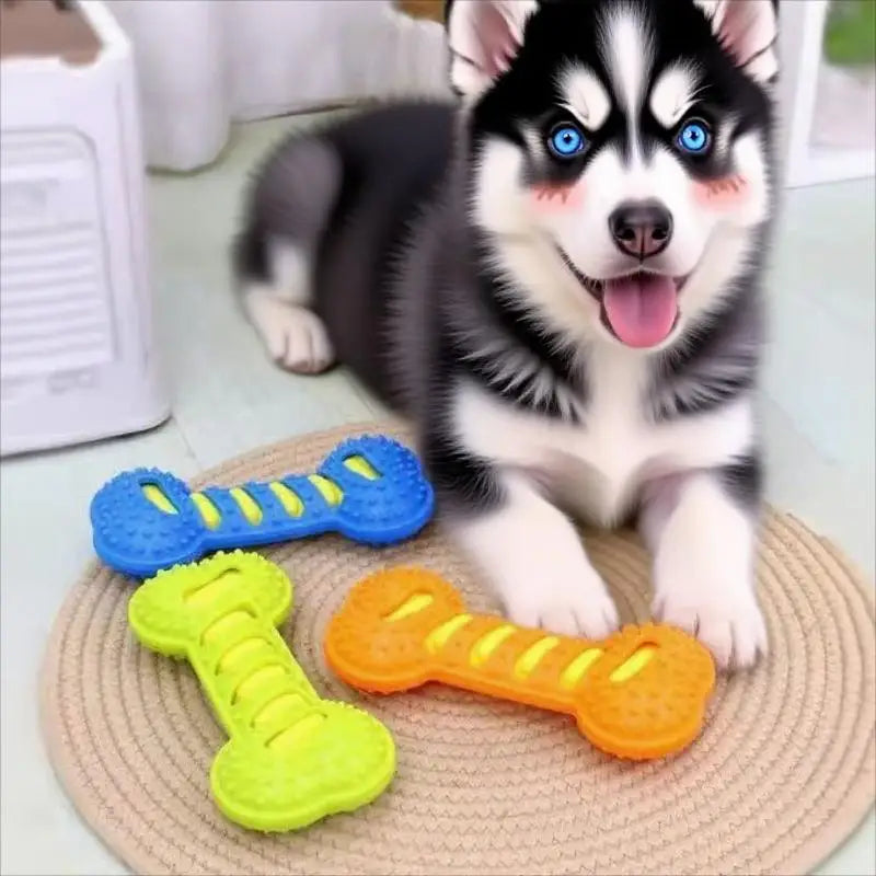 Golden Retrievers Corgis French Bulldogs Great Way Dog Toy Bone Qme