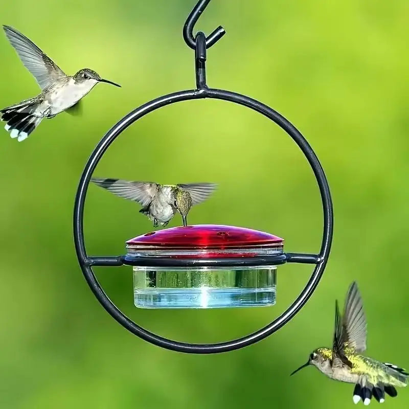 Transparent Design Perches No Electricity Battery Needed Metal Qme Default Title
