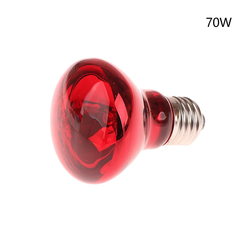 25 40 50 60 75 100W E27 UVA Poultry Bulb Infrared Night Light Day Qme 75W