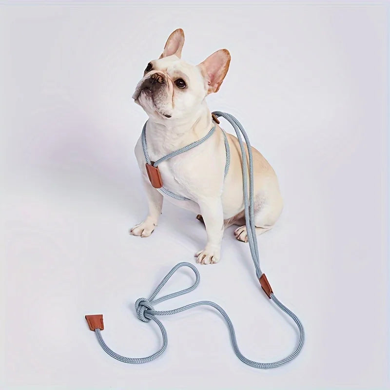 Integrated pet dog leash, nylon strap, adjustable dog chest strap, walking dog leash Qme