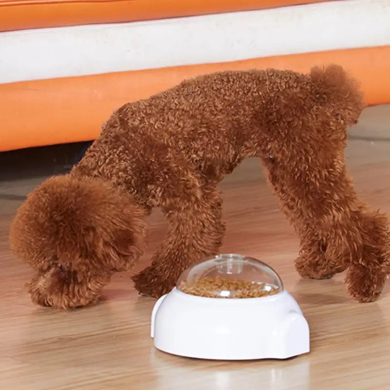 Interactive Dog Supports Dispenser Puppy Pet Tough Slow Feeder Qme