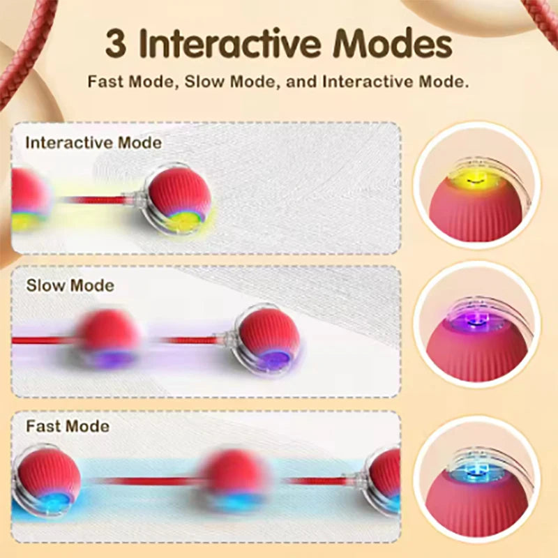 New interactive cat ball toy with automatic rolling ball simulation tail rechargeable intelligent pet electric toy Qme