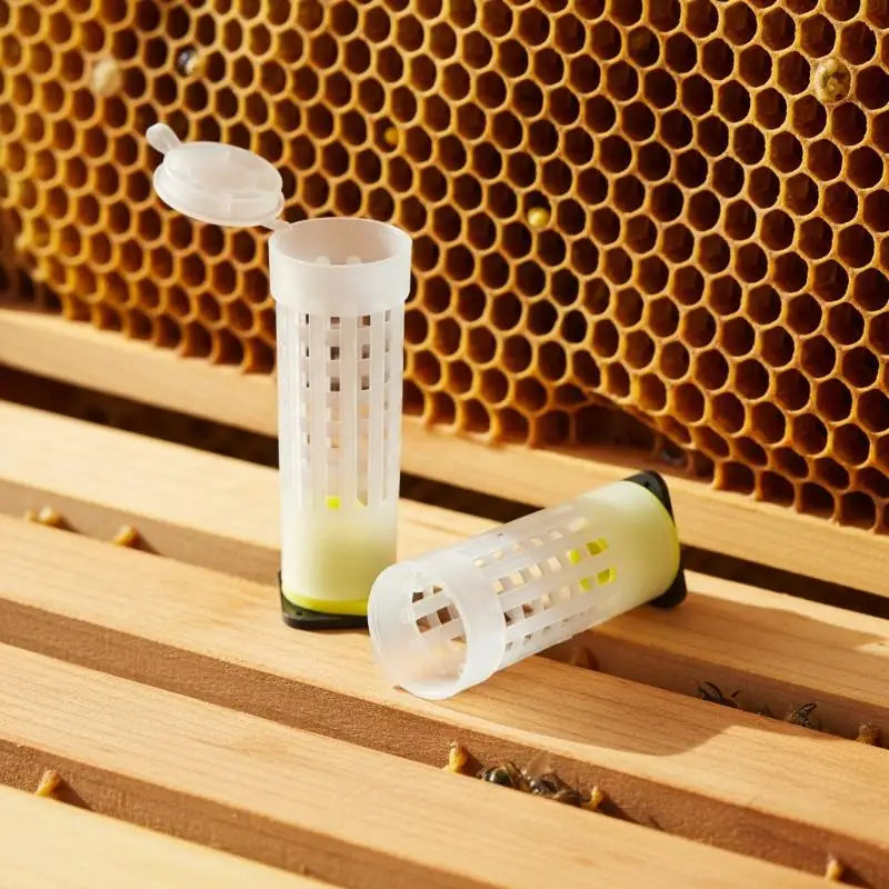Queen Bee Protection Cage Plastic Rearing Beekeeping Tools Catcher Qme
