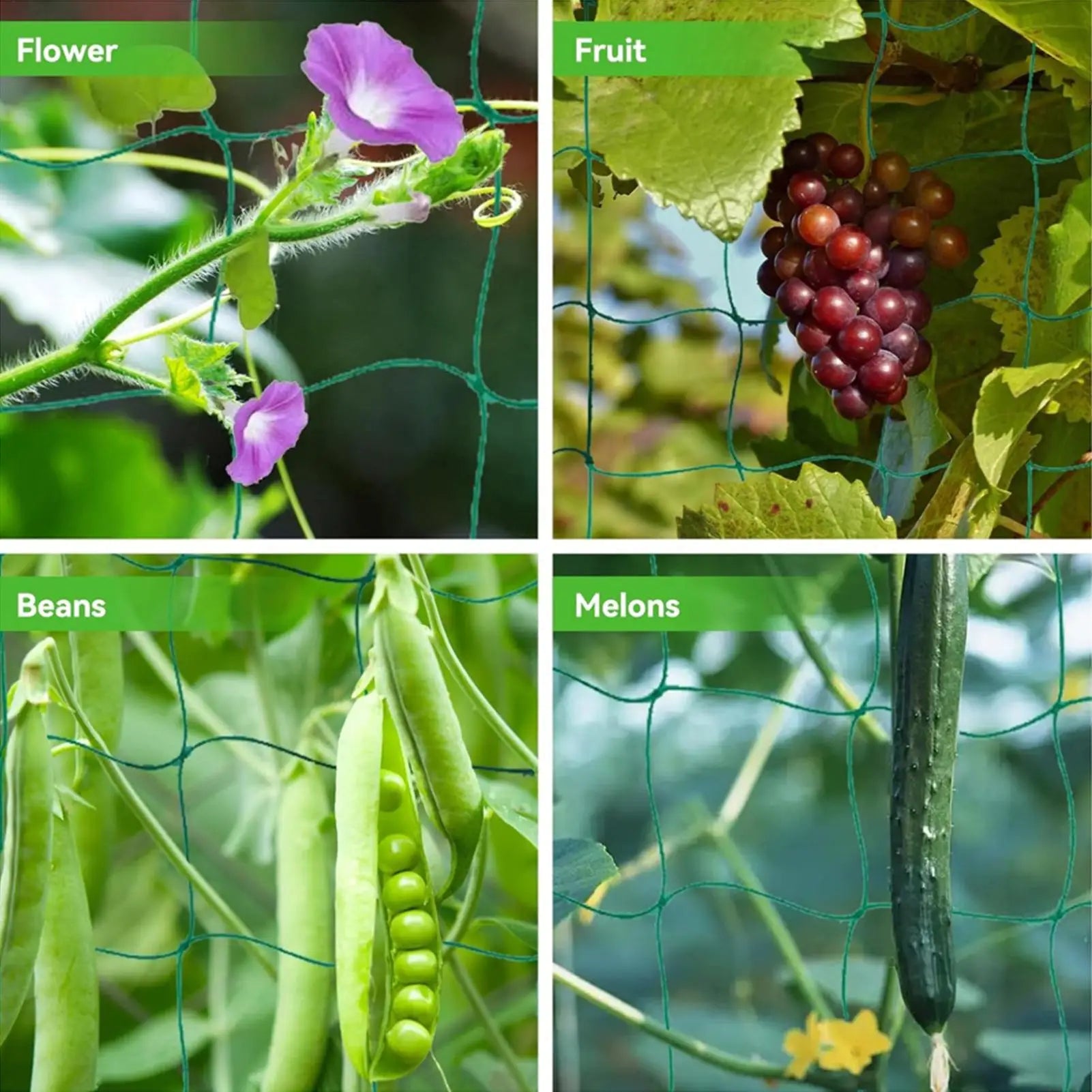 9strand Garden Plant Climbing Net for Flowers Tomato Fruits Vegetables Grapes polyester Trellis Netting 0.9m/1.8m/2.7m/3.6mX1.8M Qme