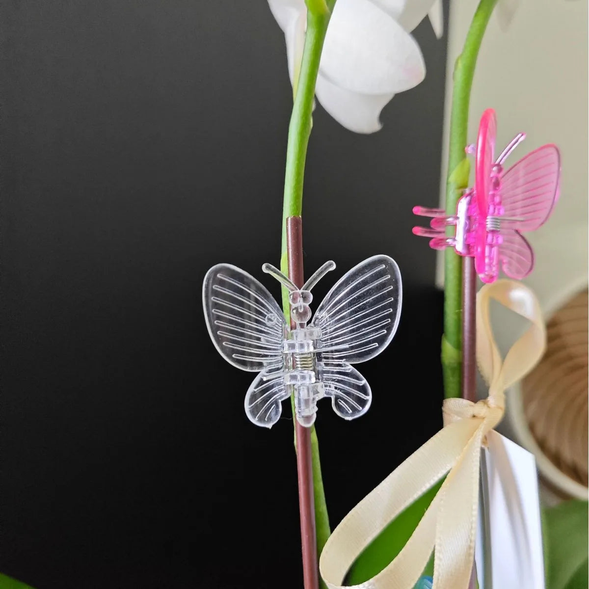 Butterfly Plant Support Clips Reusable Plastic Stem Fixing Clamp Vine Traction Clip For Garden Plant Flower Vine Fixing Tool Qme