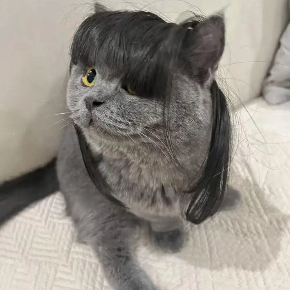 Halloween Pet Wig Fashion Curly Straight Hair Cute Role Play Qme