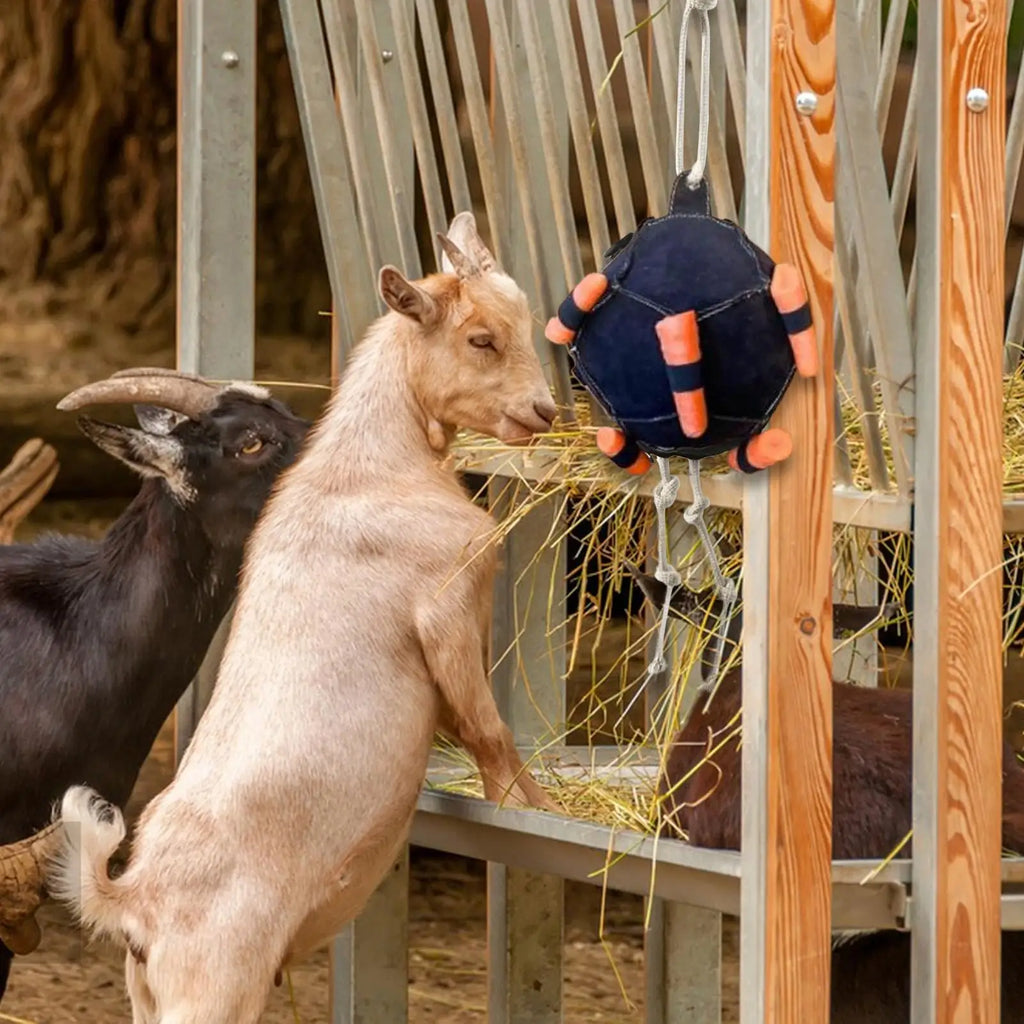 1PC Horse Enrichment Toys Carrot Slow Feeder For Horse Hangable Equine Feeding Toy For Training Farm Goat Stable Field Boredom Qme