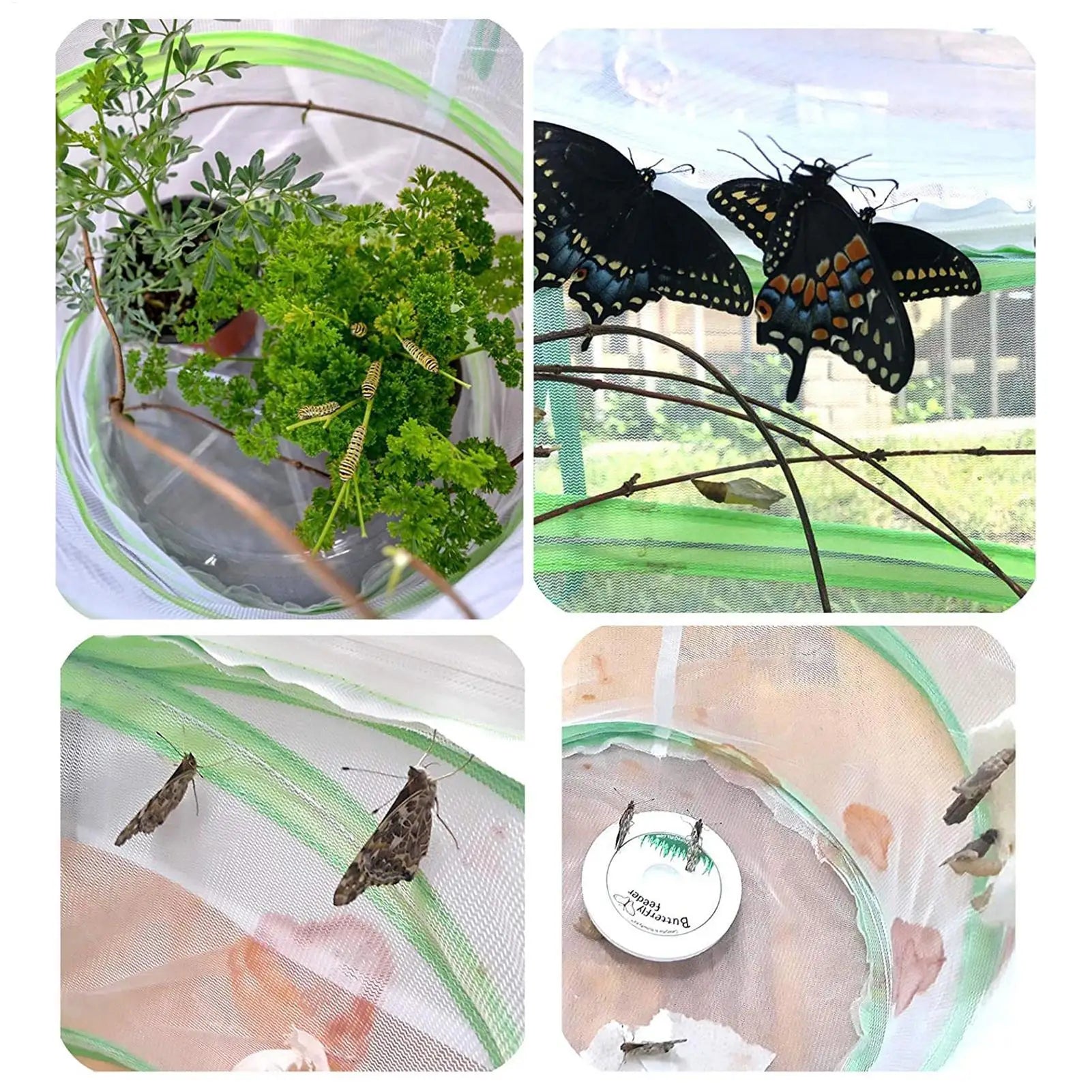 Butterfly Enclosure Mini Mesh Cage errarium Pop-up Caterpillar Habitat See Through Easier Butterfly Enclosures for Indoors Qme