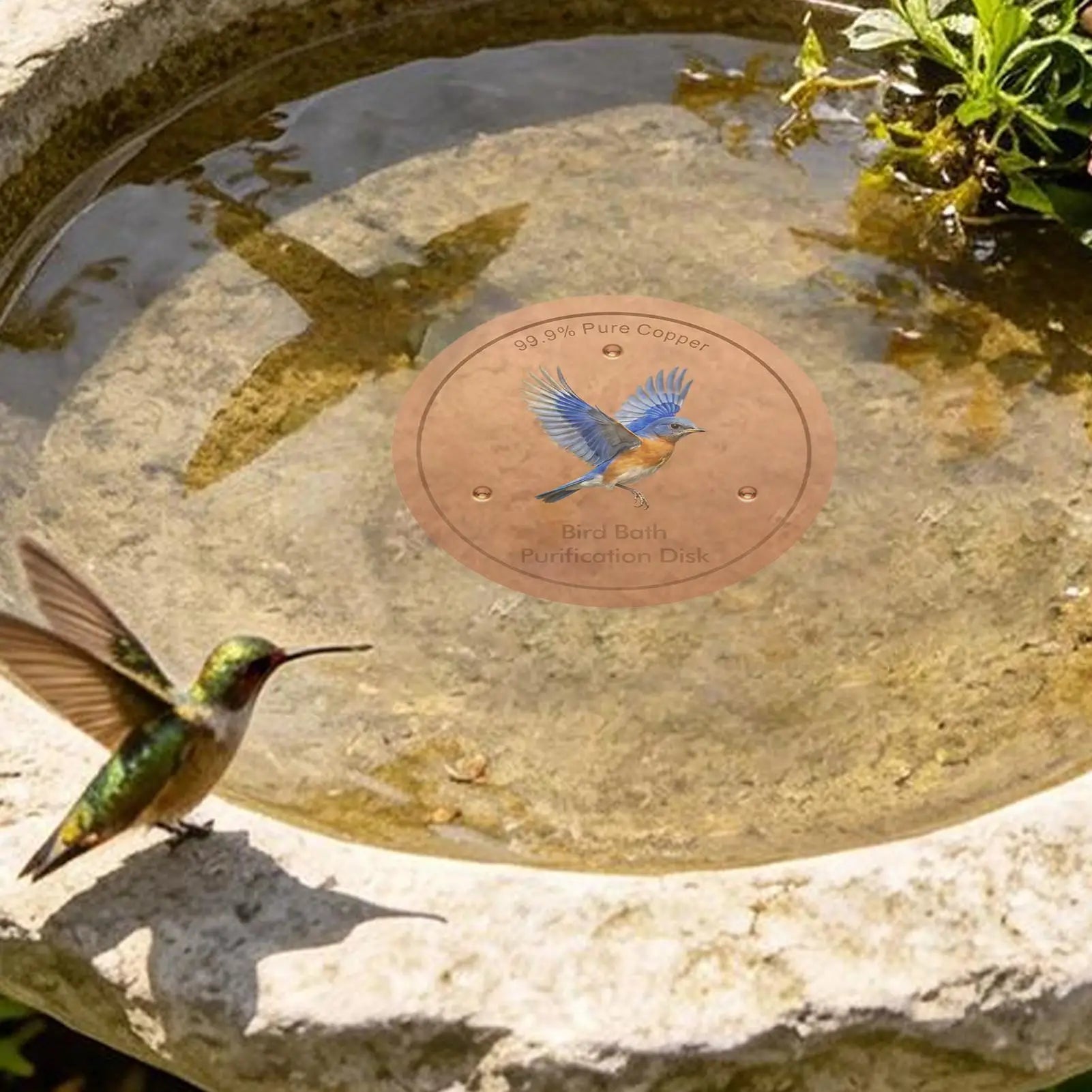 Bird Bath Copper Disk Water Cleaning Purification Plate Copper Bird Bath Purification Disk For Pool Garden Outdoor Breeding Qme