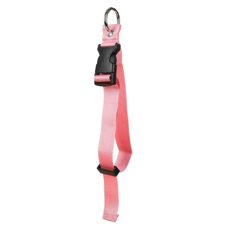 Backpack External Strap Travel Luggage Fixed Portable Release Buckle Qme Pink