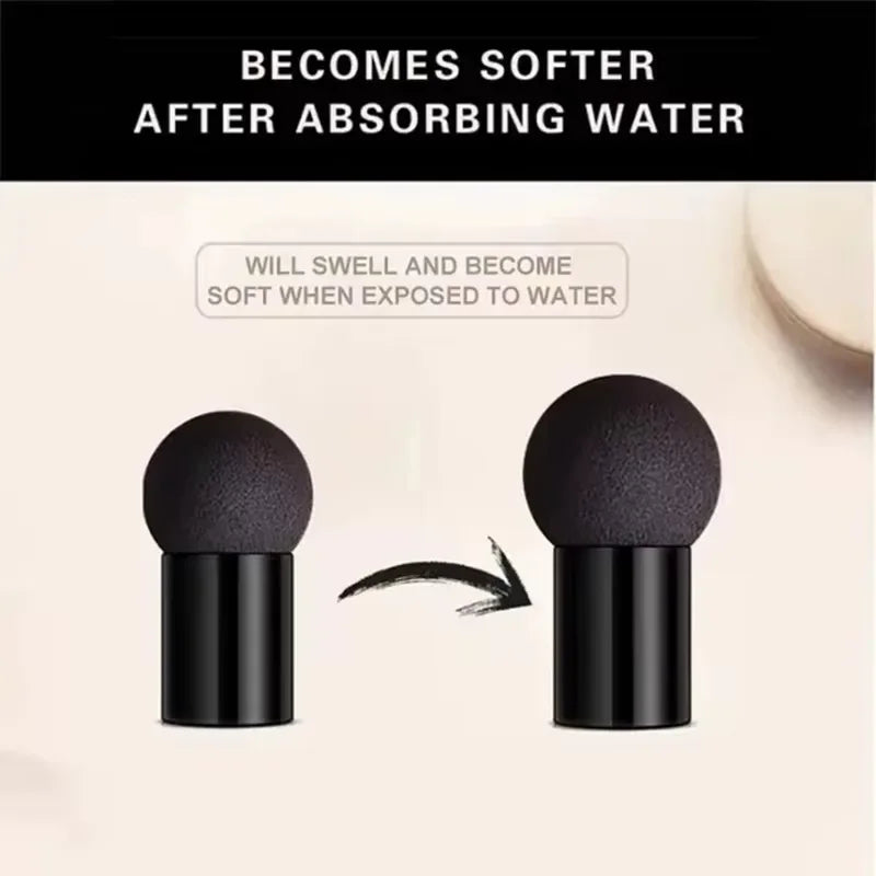 Air Cushion CC Cream Mushroom Head Puff Moisturizer Concealer Qme