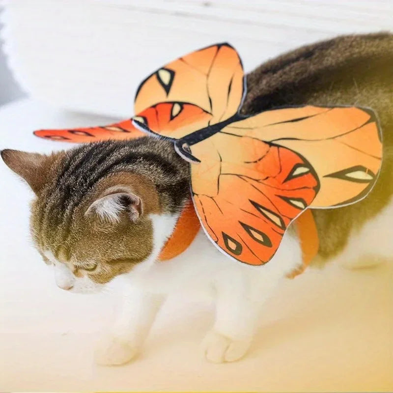 Butterfly Wings for Dogs and Cats - Pet Halloween Costumes and Christmas Party Outfits Qme