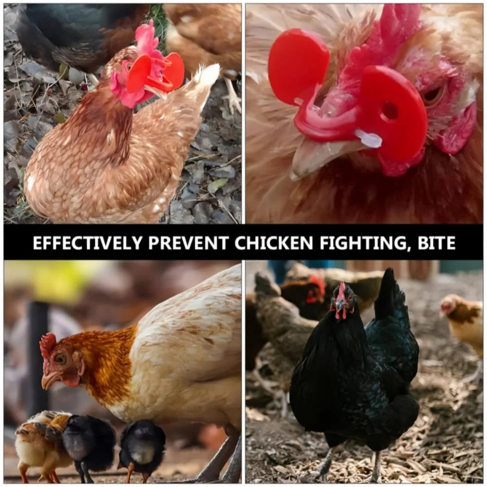 Red Chicken Glasses Plastic Peck-resistant Hair Glasses with Bolt Poultry Safety Protection Goggles Chicken Accessories Qme