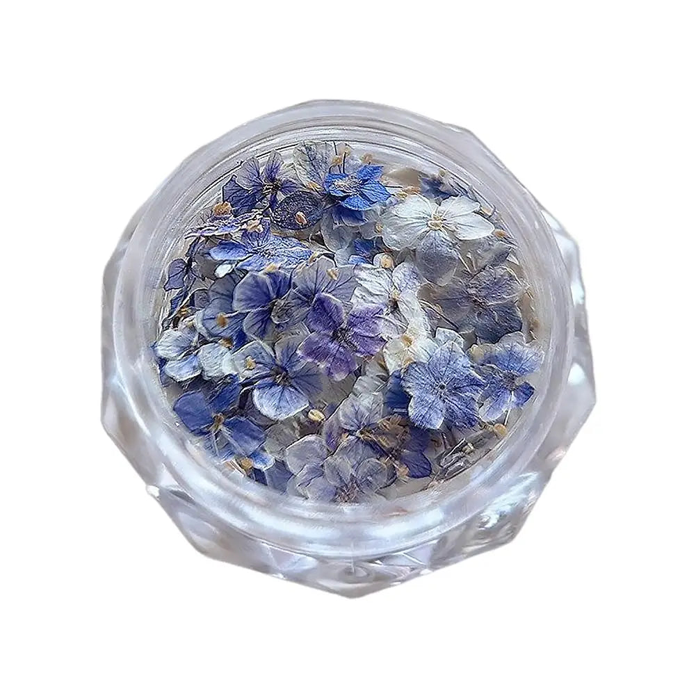 1 Box 3D Dried Flowers Nail Art Stickers Decals Mix Tiny Floral Petals Colorful Flower For Nails Crafts DIY Manicure Decorations Qme D CN