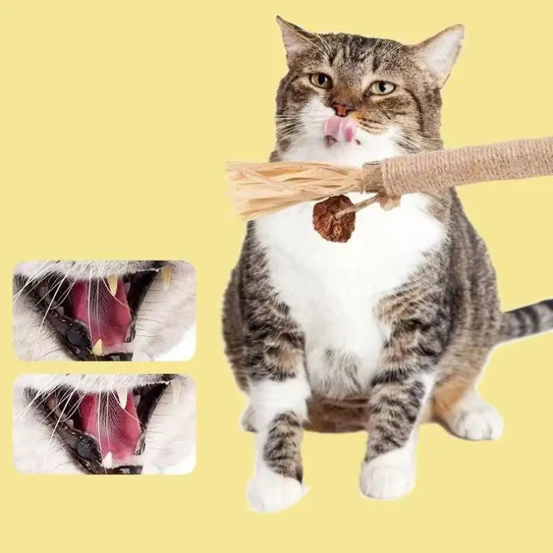 1/2PCS Cat Toys Made Of Wood Sticks Insect Galls Raffia Sisal Rope Teeth Cleaning Toys Cat Teasing Sticks Qme
