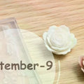 3D Rose Ice Flowers Nail Mold Charms Resin Molds Silicone Carving Qme Default Title