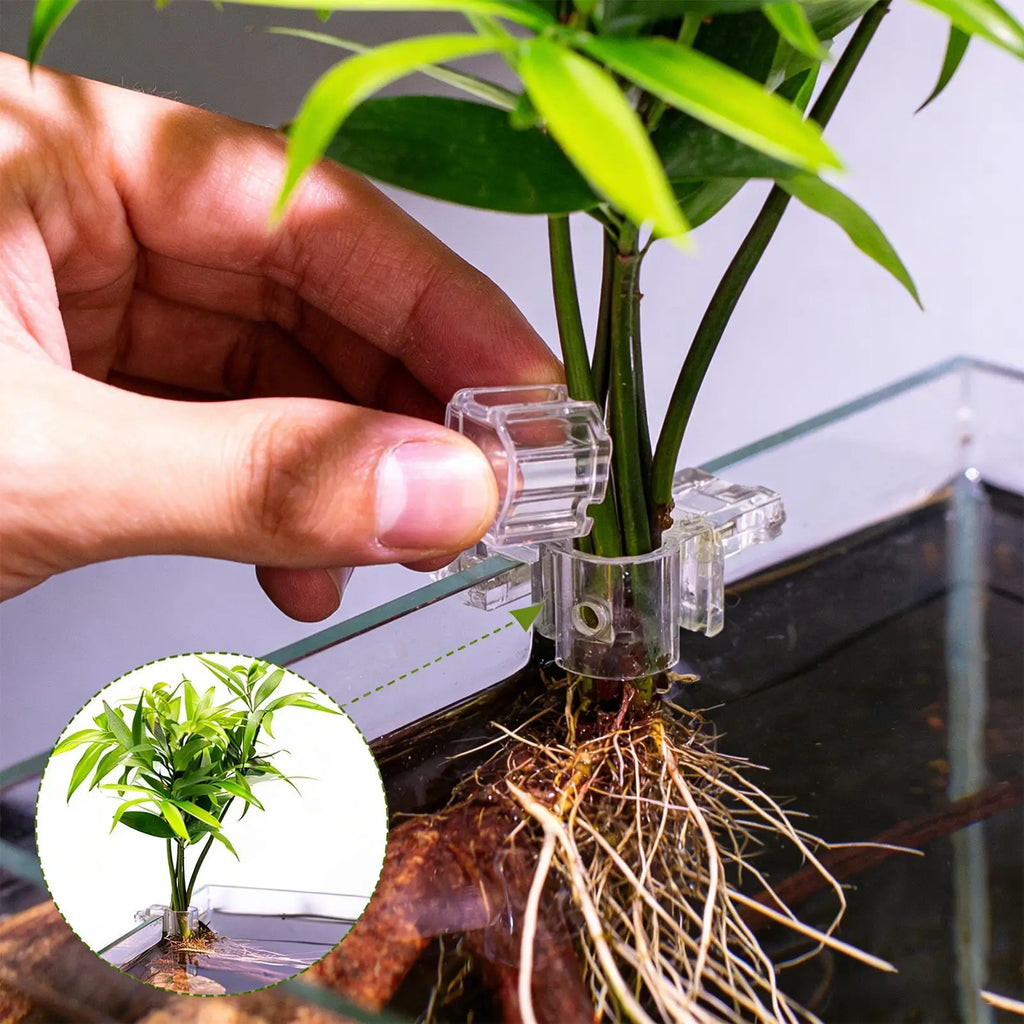 Aquarium Plant Holder 6 Clear Planting Bracket Hangable Cup Fish Tank Qme