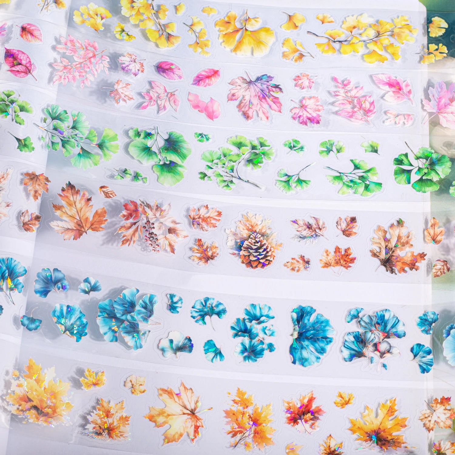200cm，INS Plant Fallen Leaves，PET Tape，Japanese Stationery Stickers，DIY Scrapbooking Decor，Junk Journal Collage Masking Tapes Qme