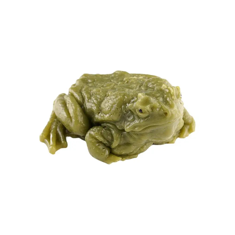 Frog Squishy Stress Relief Toy Squeeze Fidget Prank Realistic Toad Qme Green
