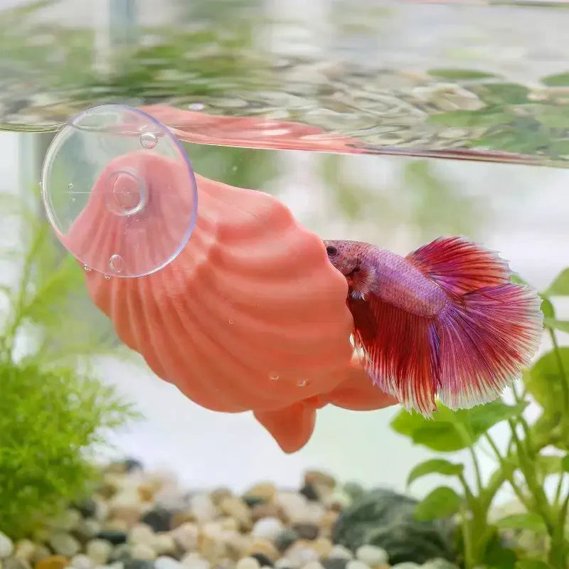 Colorful Shell Shaped Betta Feeding Dish Hiding House Breeding Nest With Strong Suction Cup Fish Tank Landscape Decoration Qme
