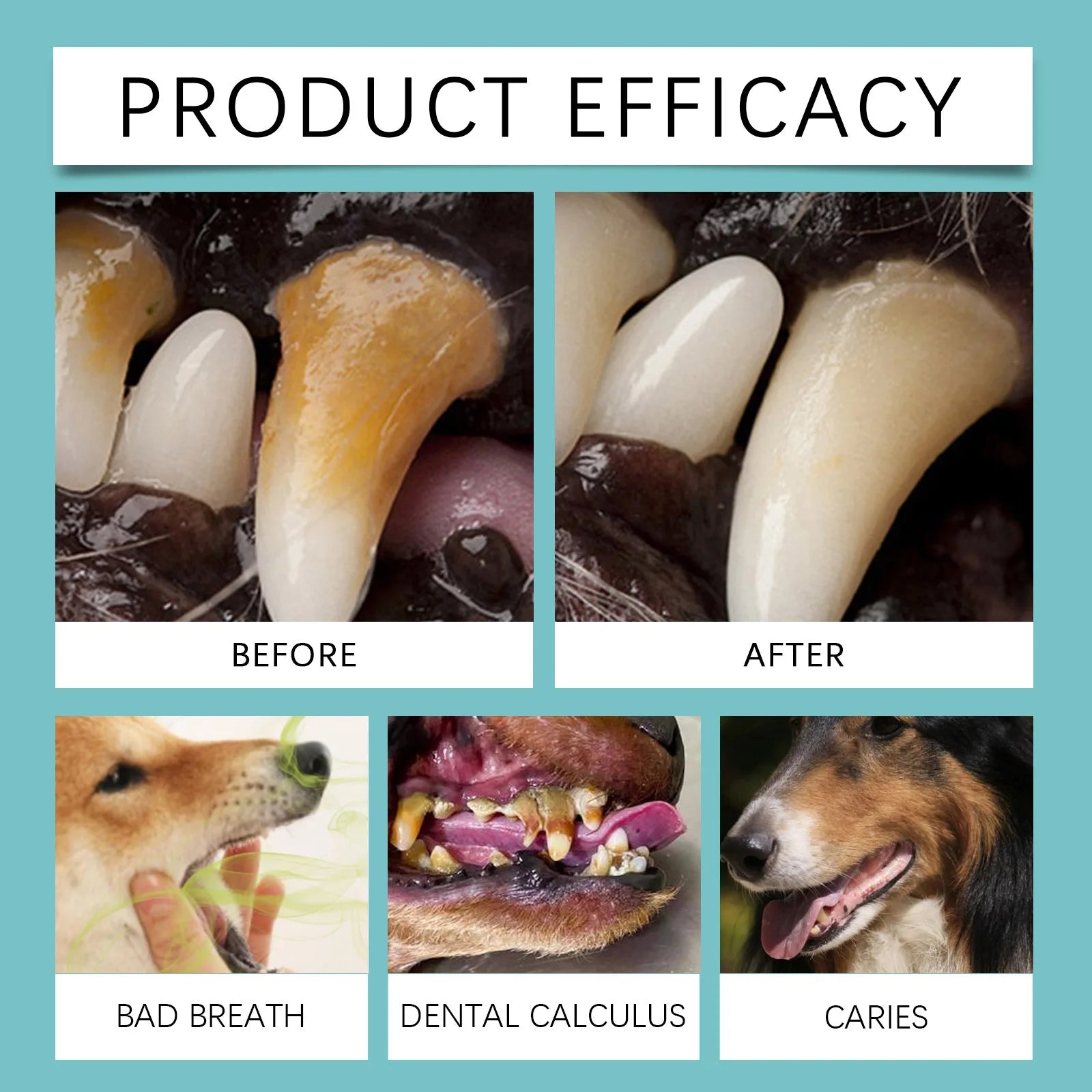 Pet Teeth Finger Cots Disposable Remove Tartar Super Soft Puppy Cochlear Cleaning Cats Dogs Toothbrush Oral Care Finger Cover Qme
