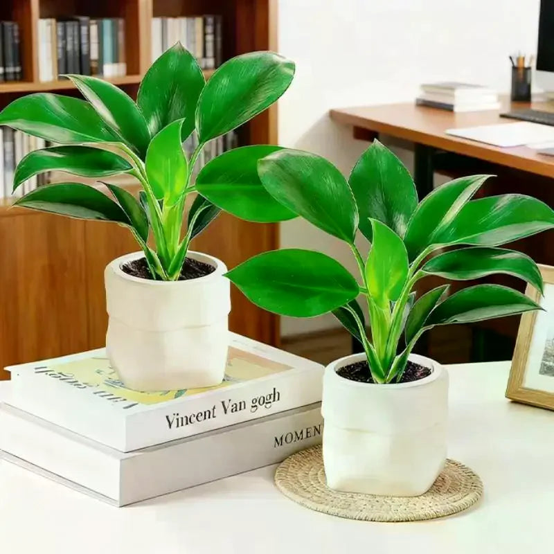 Mini Self Watering Flower Pot Fish Tank Plastic Plant Pots Self Watering Planter Pot Vase For Home Decoration Qme
