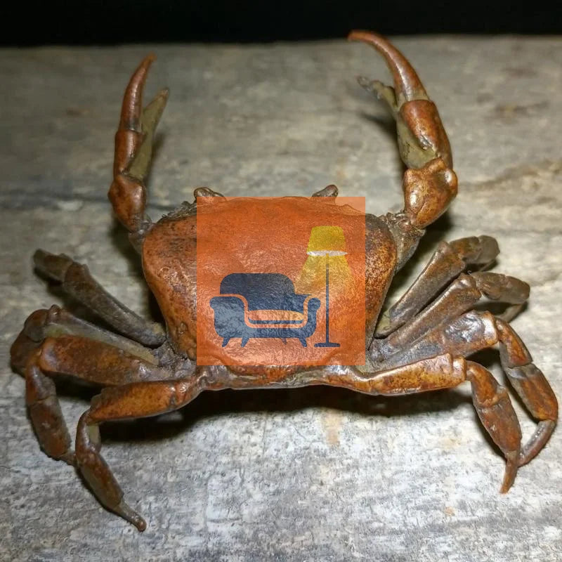 1Pcs Miniature Tea Pet Ornament Vintage Crab Simulation Animal Model Statue Figurine Antique Metal Crafts Desk Decoration Qme
