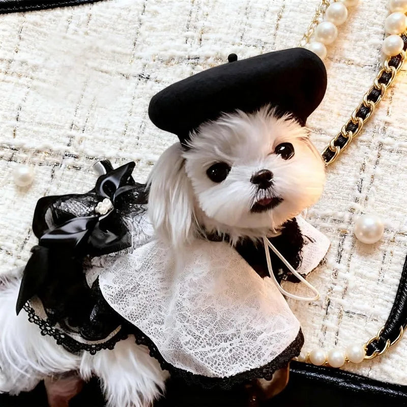 Ultra small dog beret cute kitten hat, fashionable pet hat wool mini hat photo props birthday accessories Christmas Halloween Qme