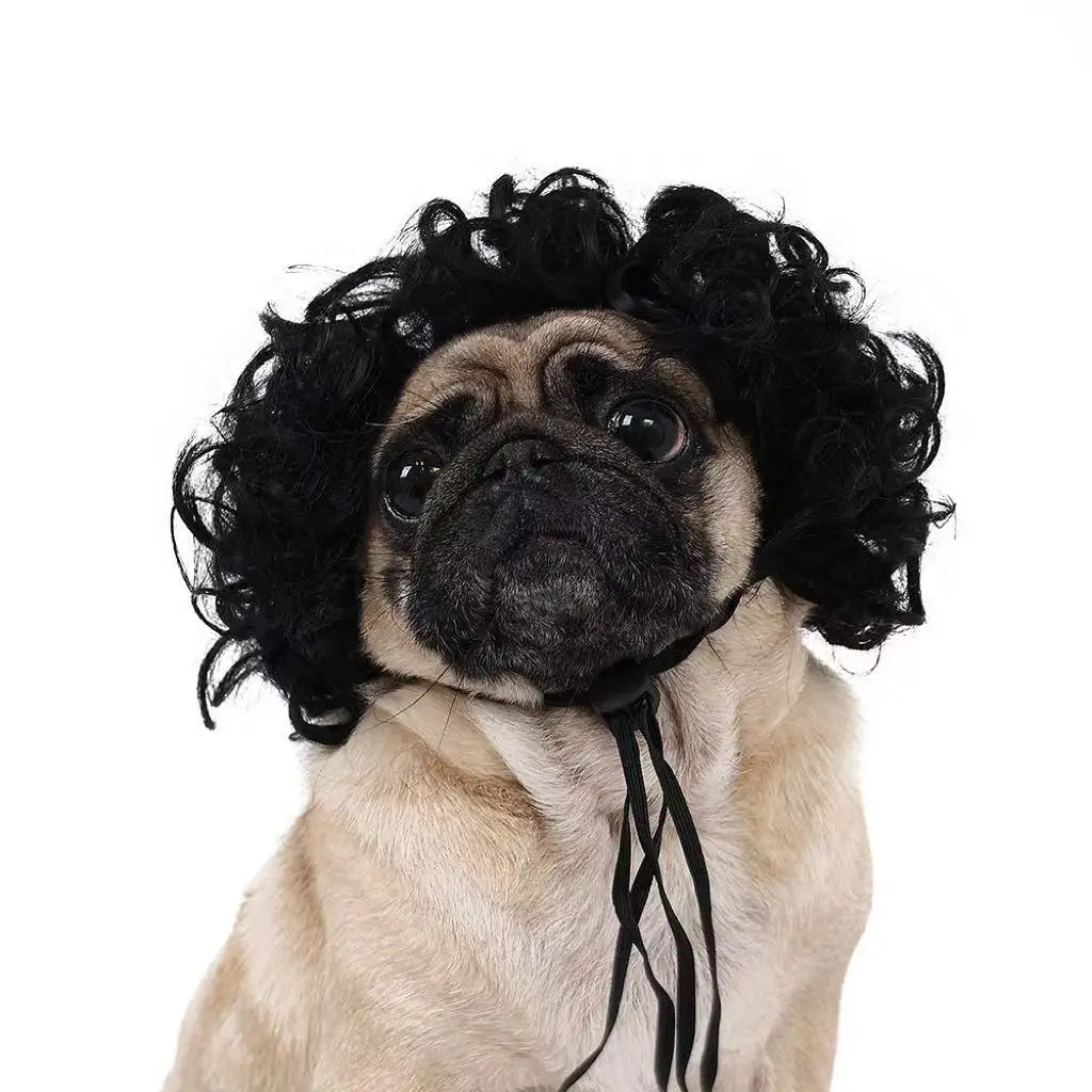 Halloween Pet Wig Fashion Curly Straight Hair Cute Role Play Qme D