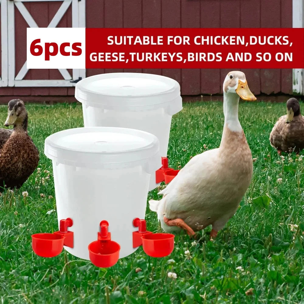 6pcs Poultry Water Dispenser Chicken Goose Universal Automatic Drinker Plastic Water Feeder Quail Drinker Farm Yard Accessories Qme