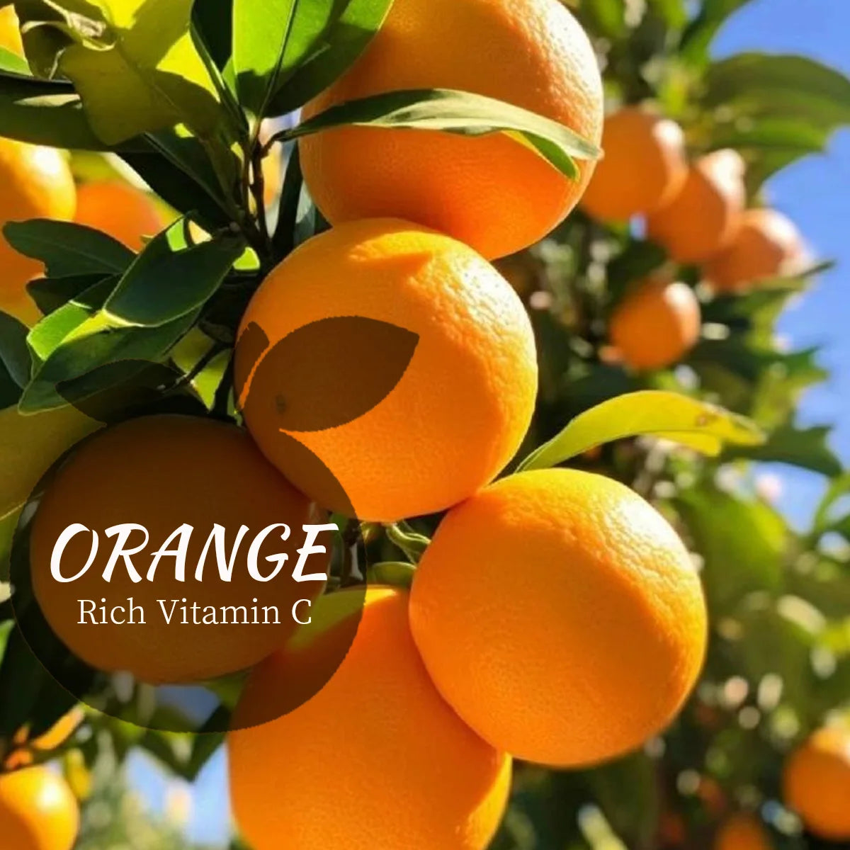 Vc Orange Cleansing Mousse Silicone Soft Brush Head Cleanses Face Qme