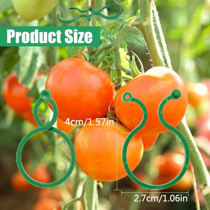 50/100Pcs Reusable Adjustable Plant Support Clips, Sturdy Plastic Garden Clips for Tomato Vine Flower and Vegetable Stakes Qme