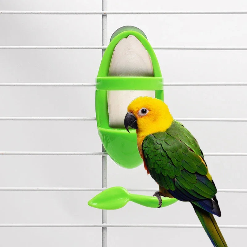 Bird Cage Feeding Holder Bird Cuttlebone Holder Vegetable Fruits Cuttlebone Holder For Parrot Budgies Parakeet Cockatiel Qme