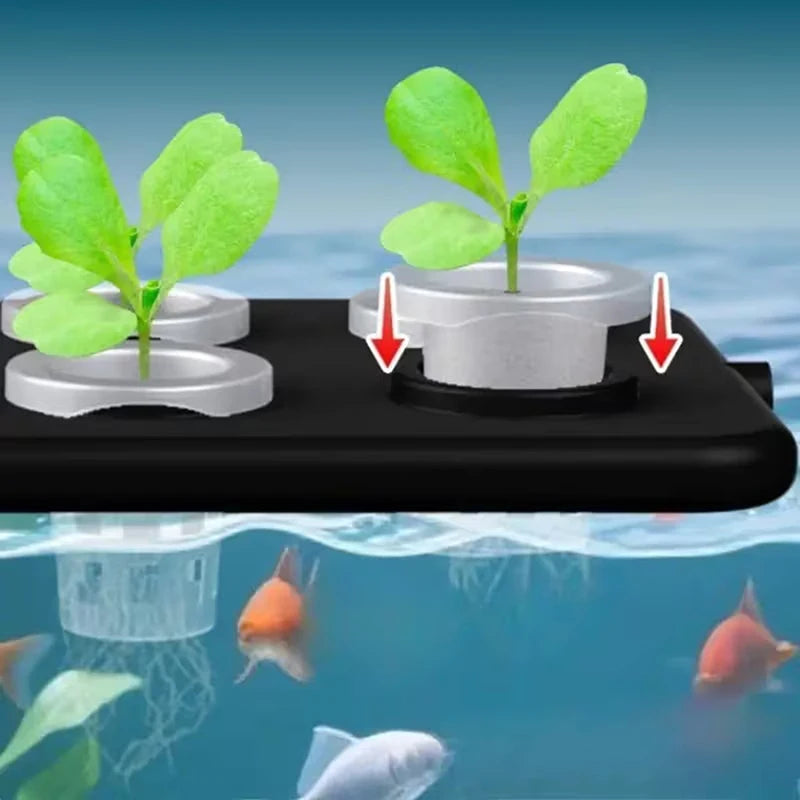 Soilless Cultivation Board Aquarium Greening Decoration Floating Qme