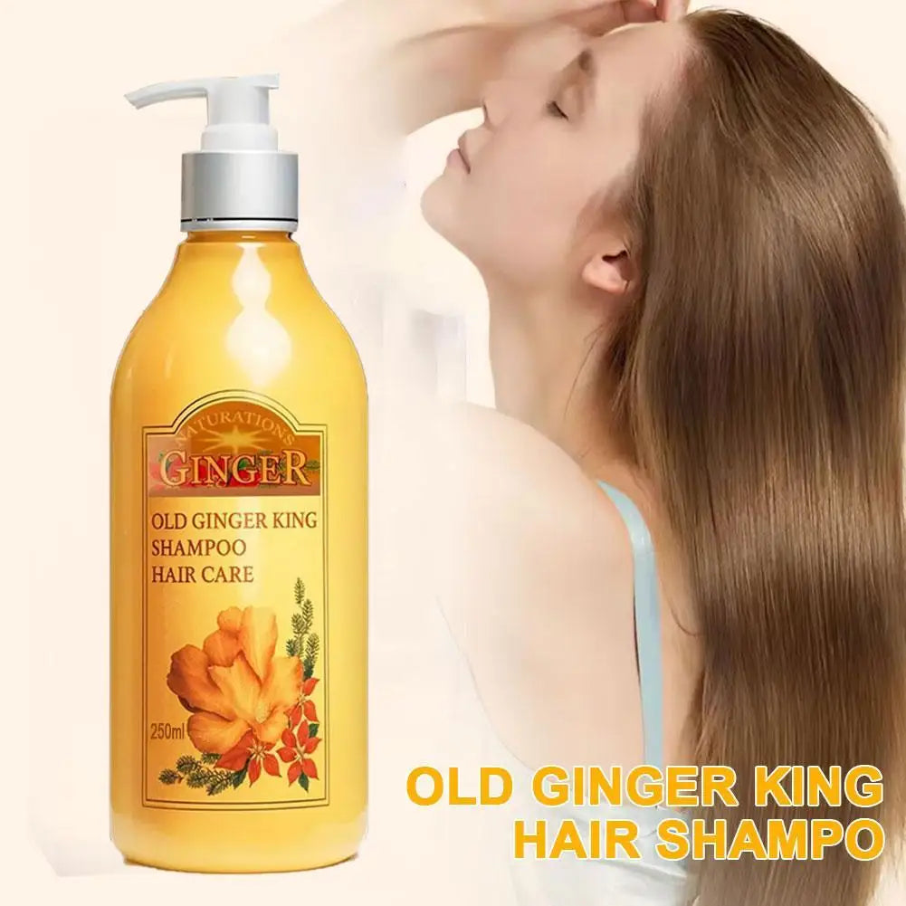 250ml Old Ginger Juice Hair Shampoo Professional Hair Scalp Treatment Oil Control Dense Anti Hair Loss Qme