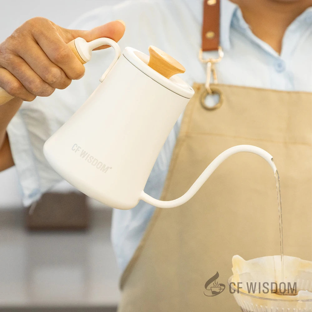 Japanese Pour Over Kettle Tea Coffee Gooseneck Design Precise Brewing Qme