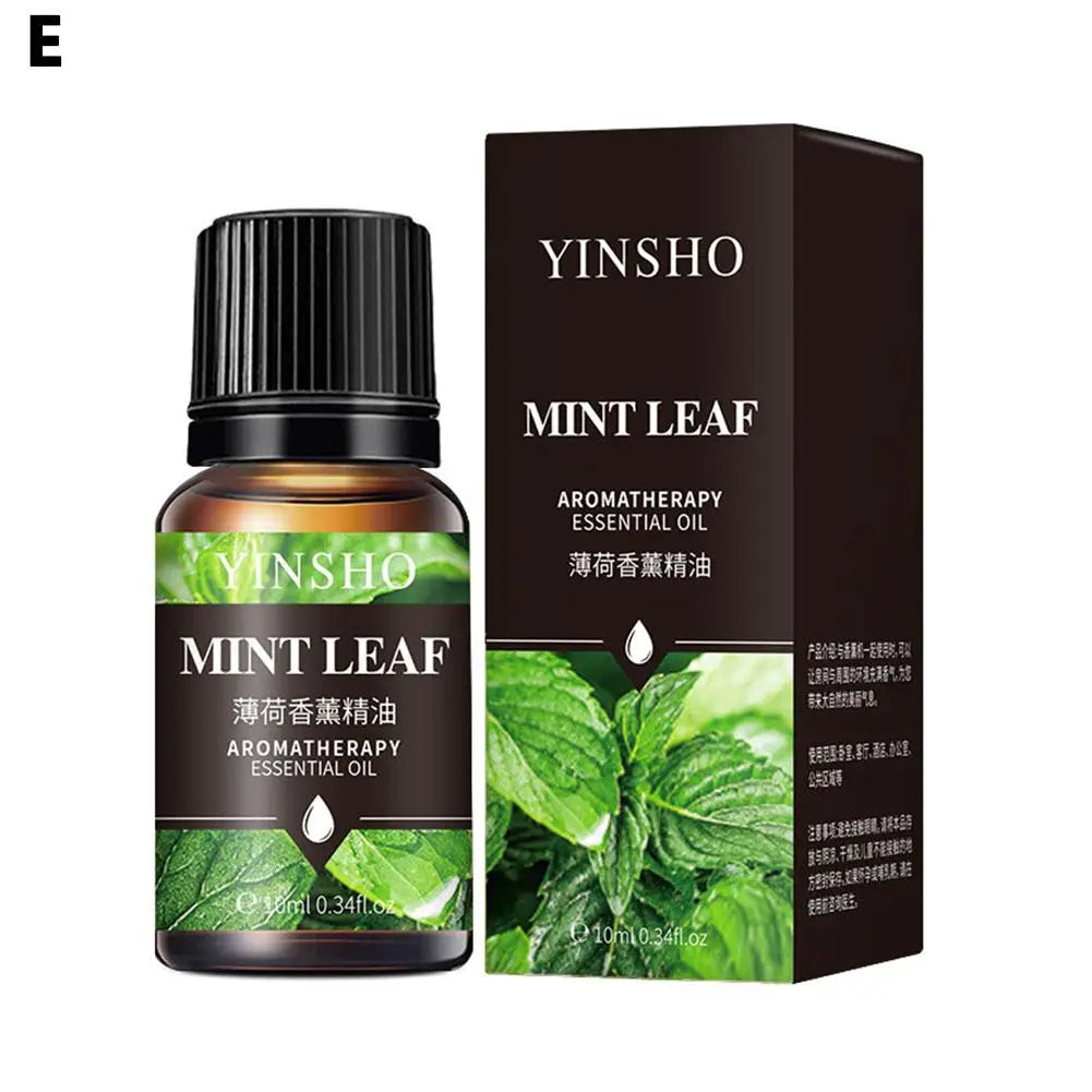 16 Flavors 10ml Essential Oils For Aroma Diffuser AirHumidifier Home Water-soluble Lavender Rose Eucalyptus White Peach Oolong Qme Mint
