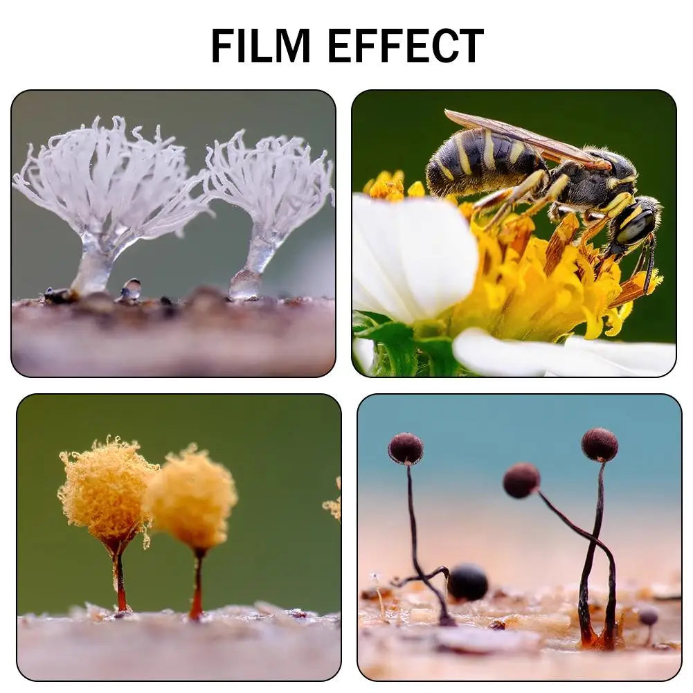 Macro Photography Background Card With Multiple Colors, Light Absorbing Materials Ecological Photography Blurred Background Qme