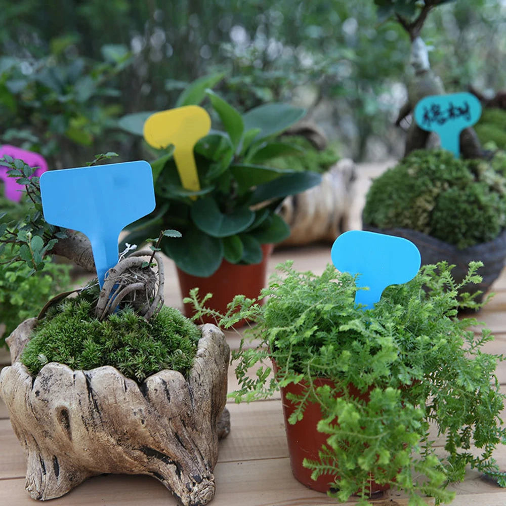 100PCS White Garden Labels Plant Waterproof Classification Sorting Sign Tag Ticket Plastic Writing Plate Board Plug In Card Qme