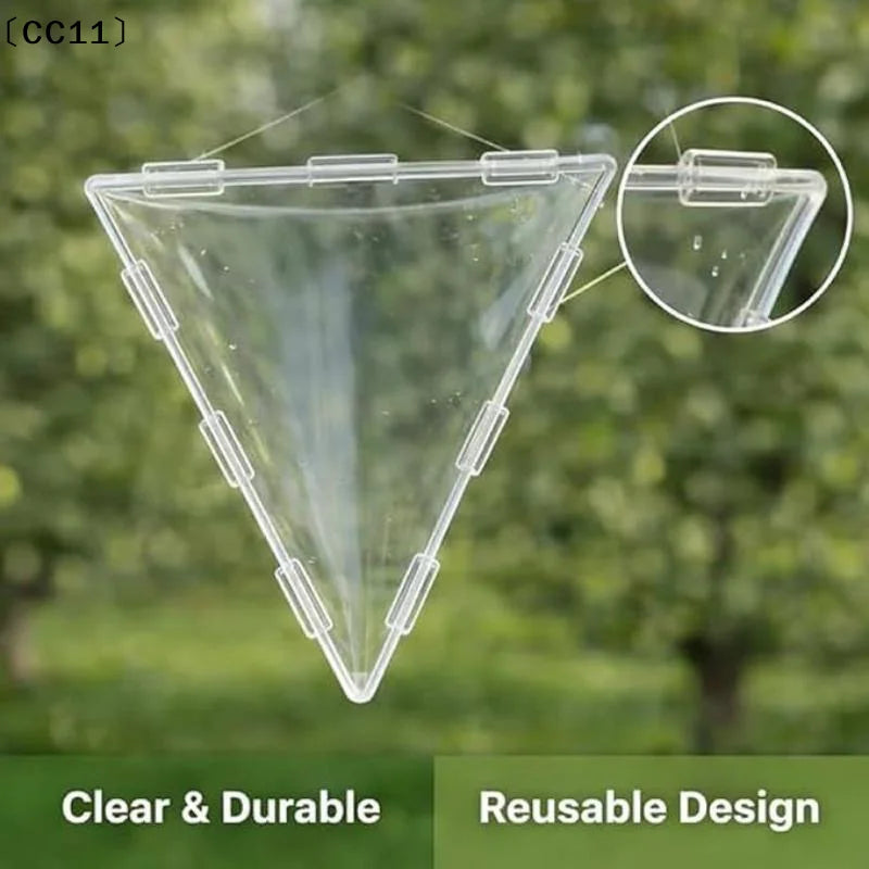 Mini Cube Triangle Fruit Shaping Mold Reusable Transparent Plastic Qme