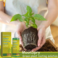 100ml Succulent Root Booster Potted Plant Nutrient Rapid Rooting Stimulator Fertilizer Supplement for Healthy Root Development Qme 100ml Boxed