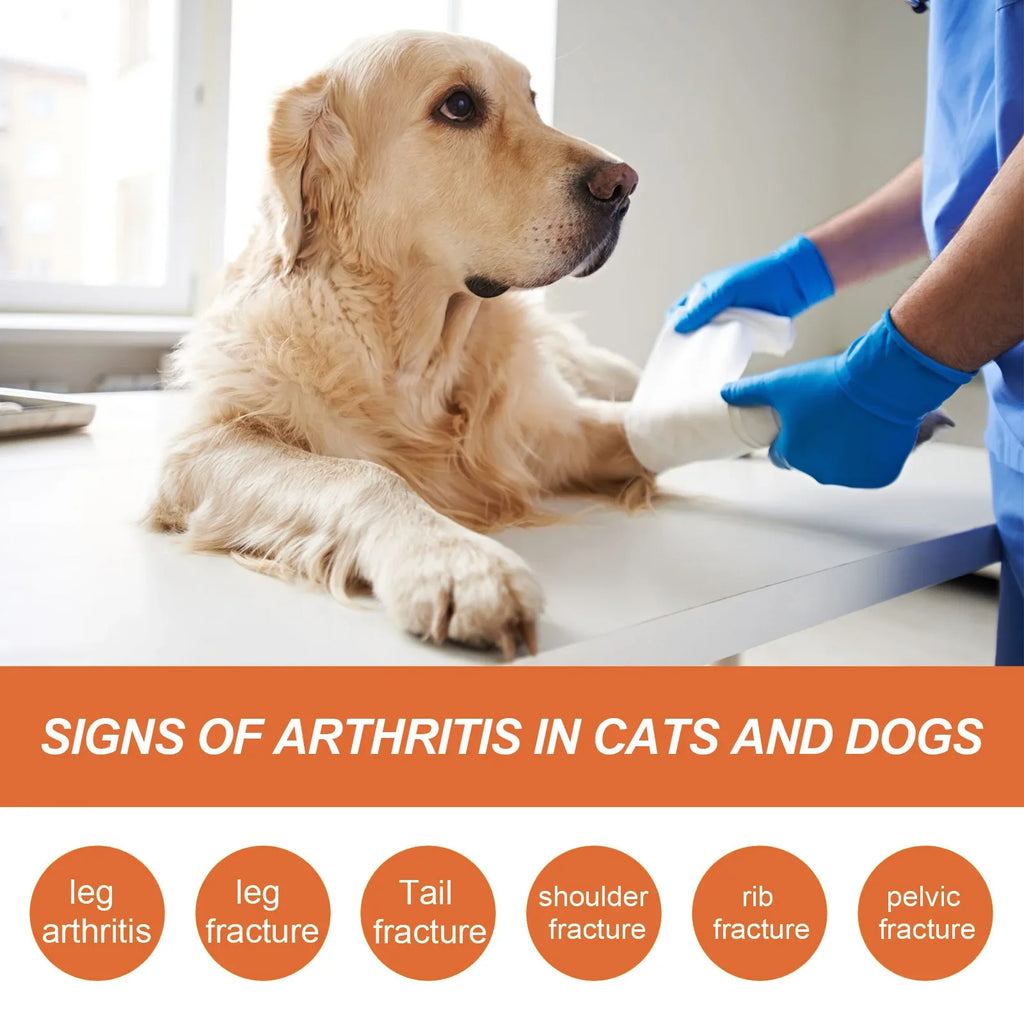 Pet Joint Repair Spray Dog Cat Bone Deformity Osteoarthritis Healing Multifunctional Joint Care Liquid Pet Bone Care Supplies Qme