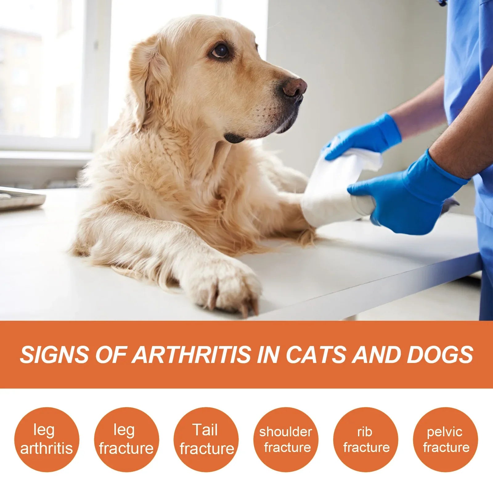 Pet Joint Repair Spray Dog Cat Bone Deformity Osteoarthritis Healing Multifunctional Joint Care Liquid Pet Bone Care Supplies Qme