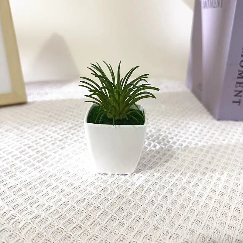 Faux Cactus Arrangements Small Imitation Foliage White Square Planter Qme komatsu needle
