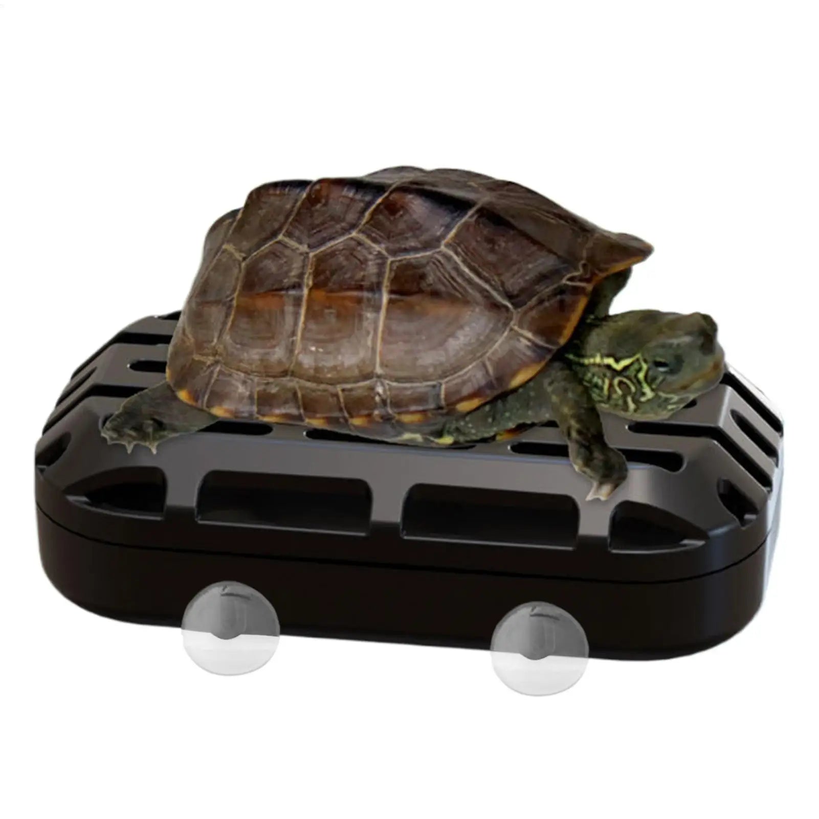 Turtle Poop Catcher Box Suction Cup Reptile Pet Accessories Aquarium Turtle Poop Box for Living Room Hotel Restaurant Apartment Qme