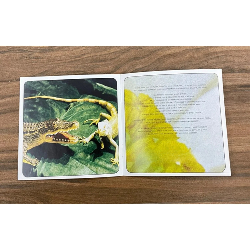 90s Alternative Rock Milestone Album CD, A Pioneering Work That Shaped The Genre, with Timeless Tracks That Remain Influential Qme