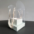 Rose Flower Hand Packaging Box Waterproof Transparent Art Arrangement Qme Light green