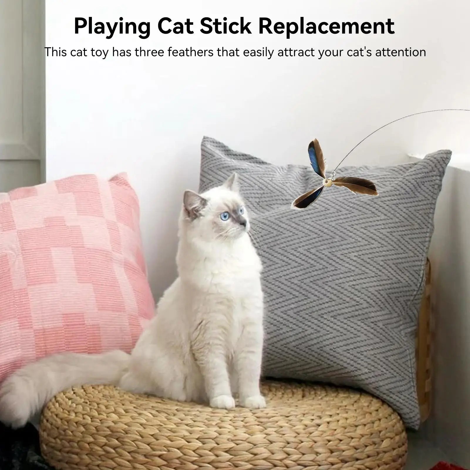 Cat Wand Attachments 6 Pieces Cat Teaser Wand Replacement Interchangeable Teaser Refill Fun Chaser Exercise Supplies for Indoor Qme